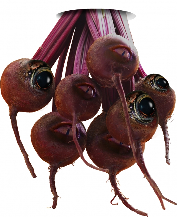 Creation of BRAIN SUCKERS!: Step 4